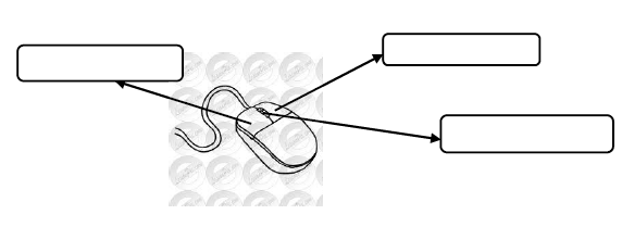 CBSE Class 1 Computer Science Using A Mouse Worksheet